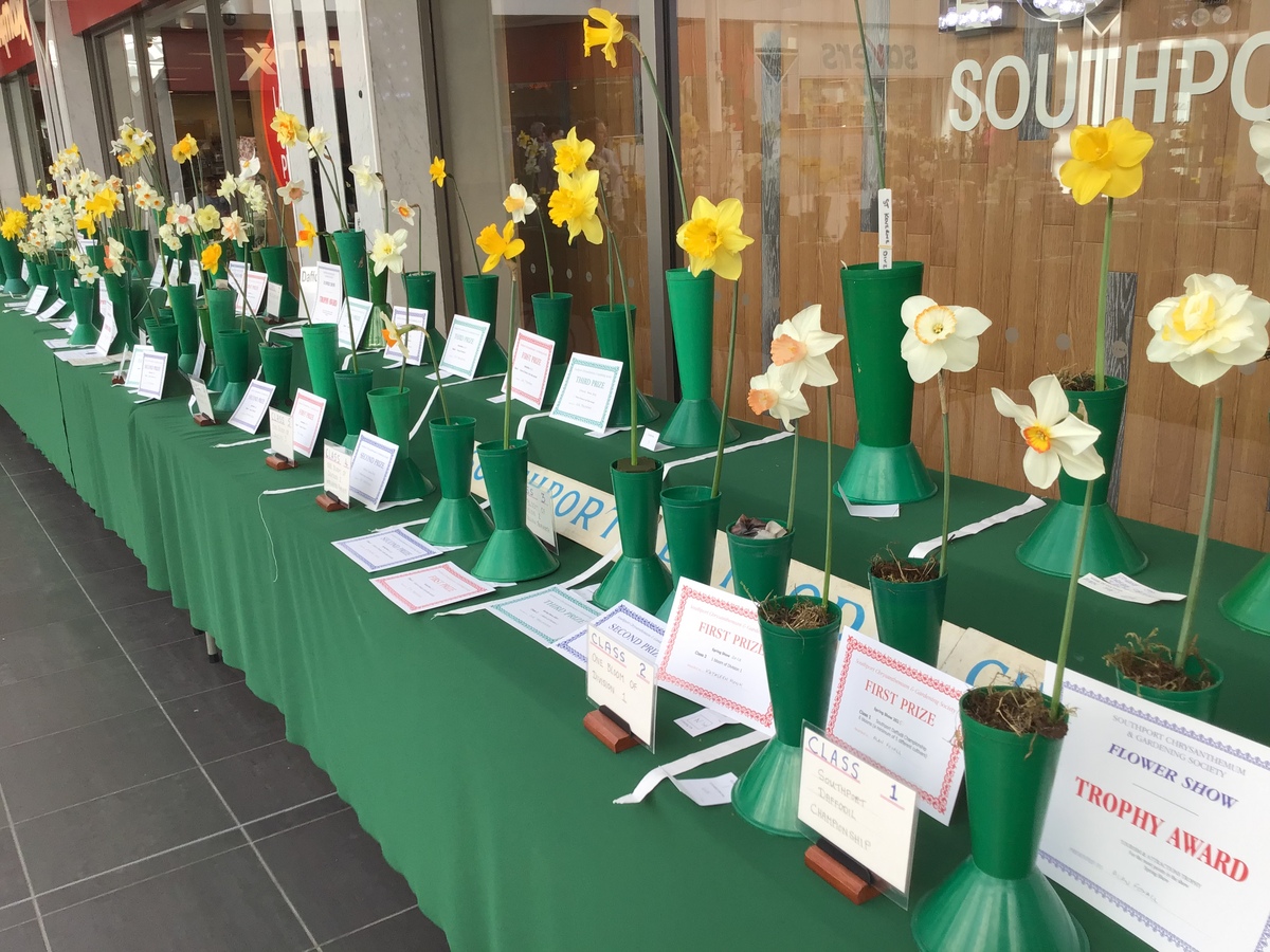 Southport Daffodil Championships